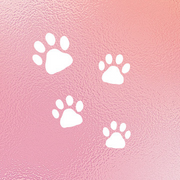 Catégories
