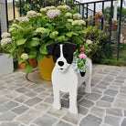 Jack Russell Noir et Blanc Jardinière