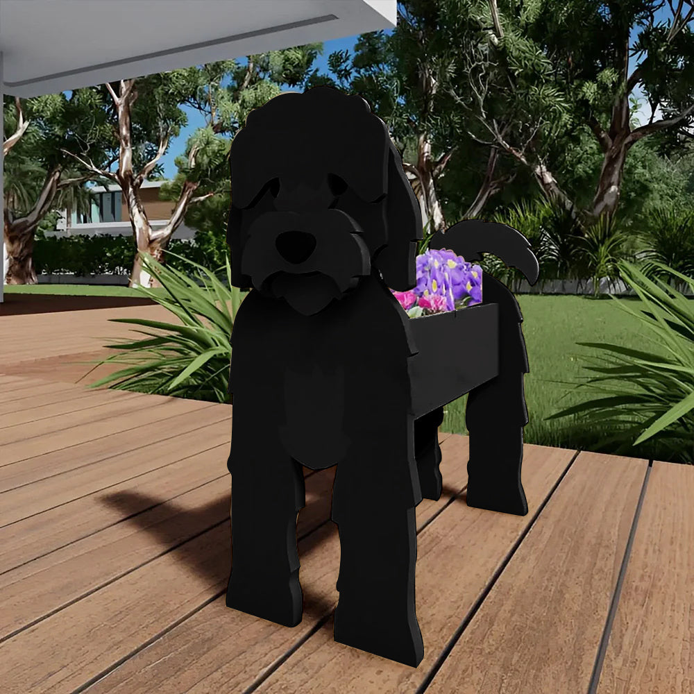 Cockapoo Noir Jardinière