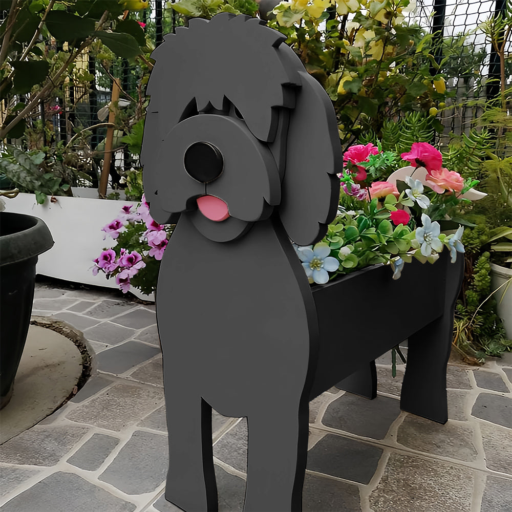 Noir Golden Doodle Jardinière