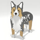 Border Collie Jardinière