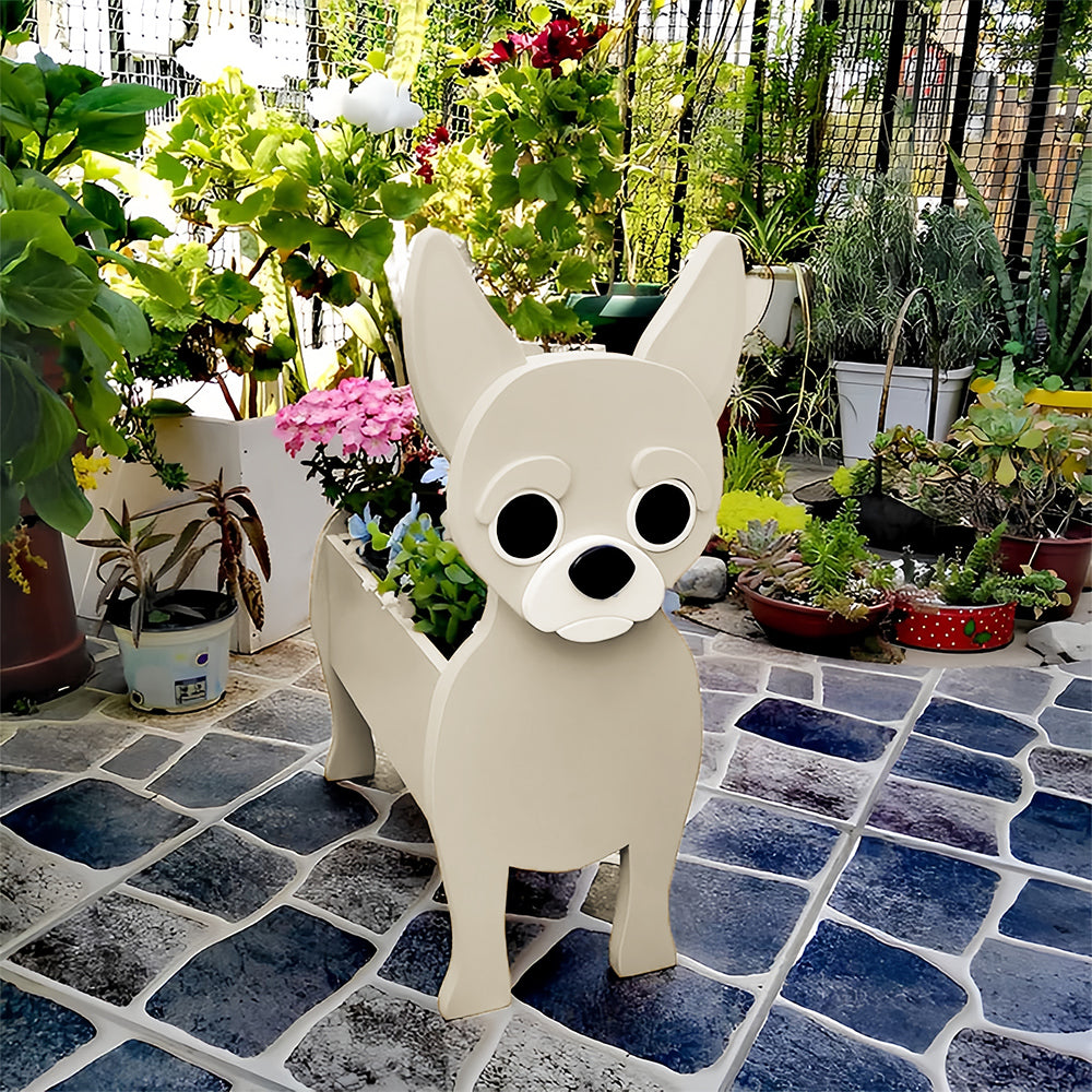 Chihuahua Jardinière