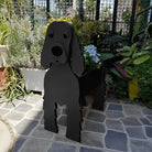 Cavalier Roi Charles Spaniel Jardinière