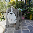 Bouledogue Anglais Jardinière