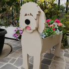 Jardinières pour Golden Doodle
