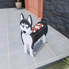 Pot de fleurs en forme de Husky Sibérien