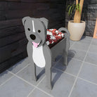 Staffordshire Bull Terrier Jardinière